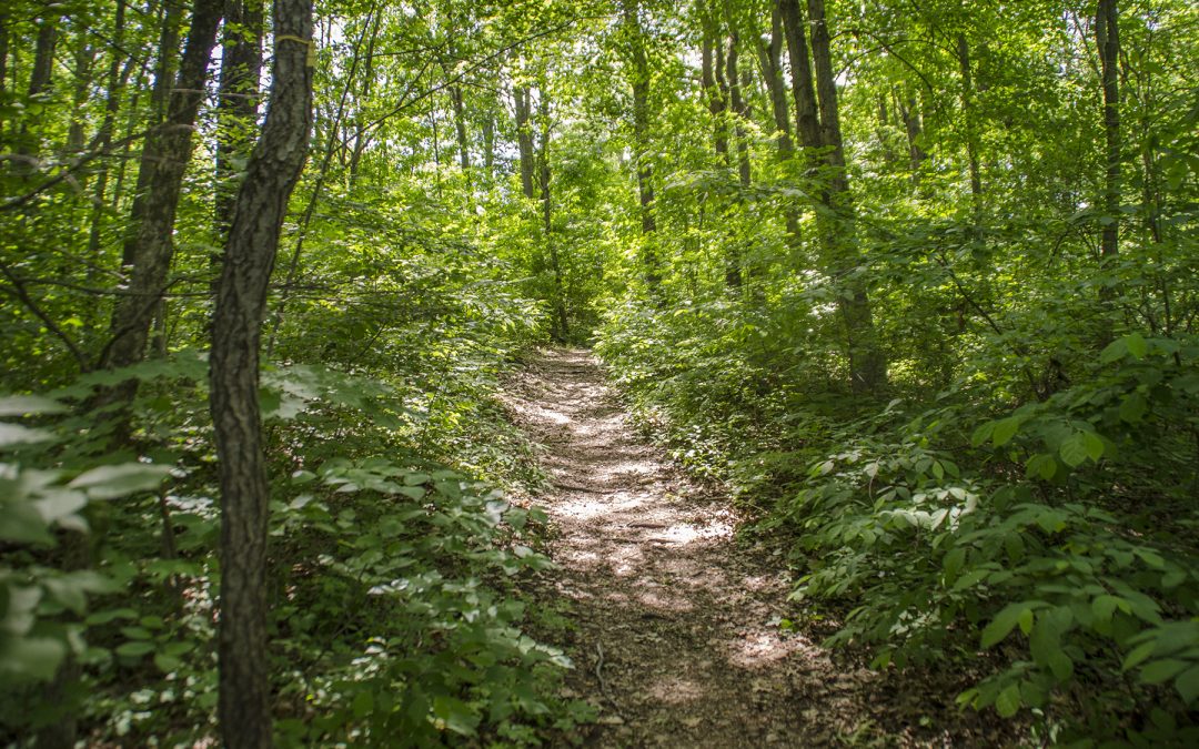 Top Hiking Trails in Steuben County, Indiana