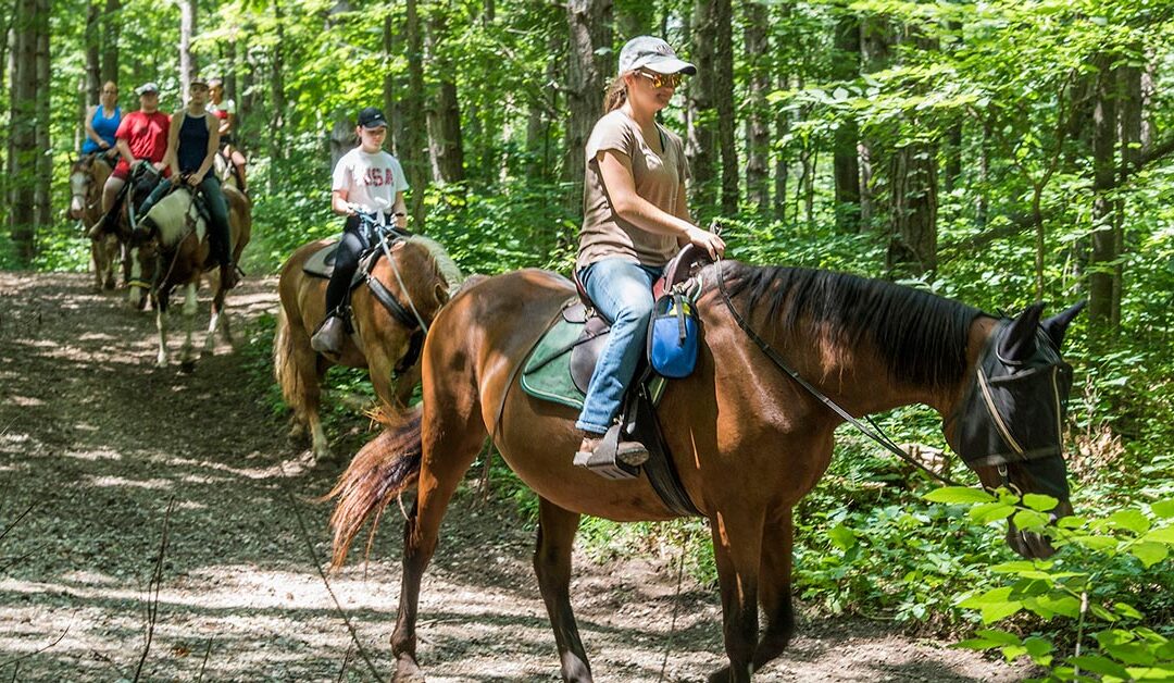 Explore Pokagon State Park via horseback