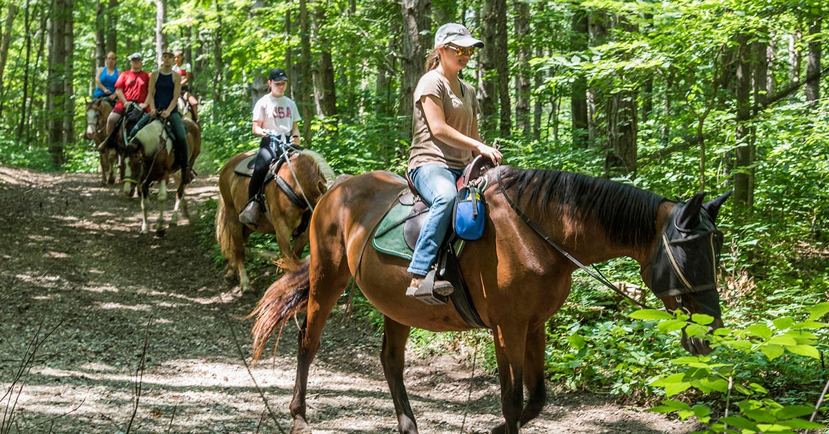Explore Pokagon State Park via horseback