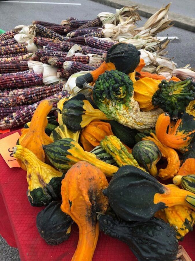 Bright Orange Pumpkins